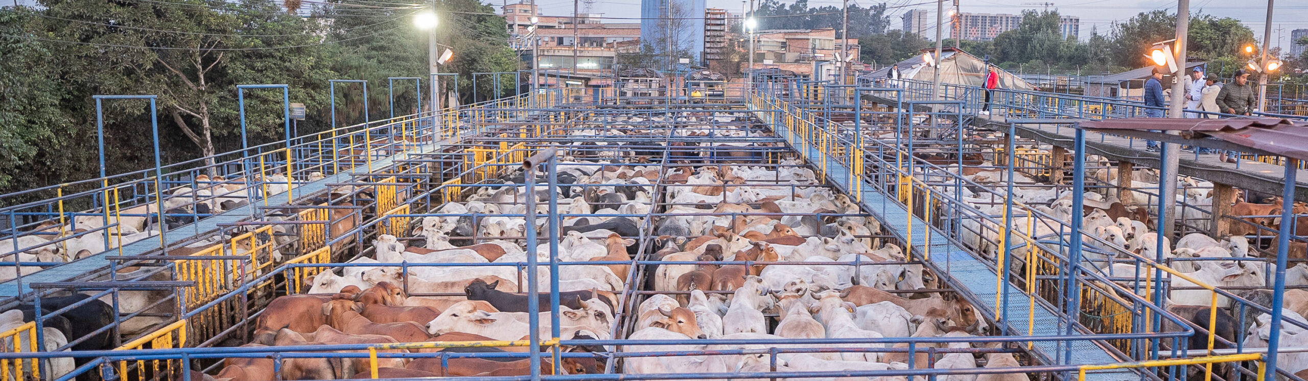 Frigoríficos BLE - Capacidad y experiencia a su servicio