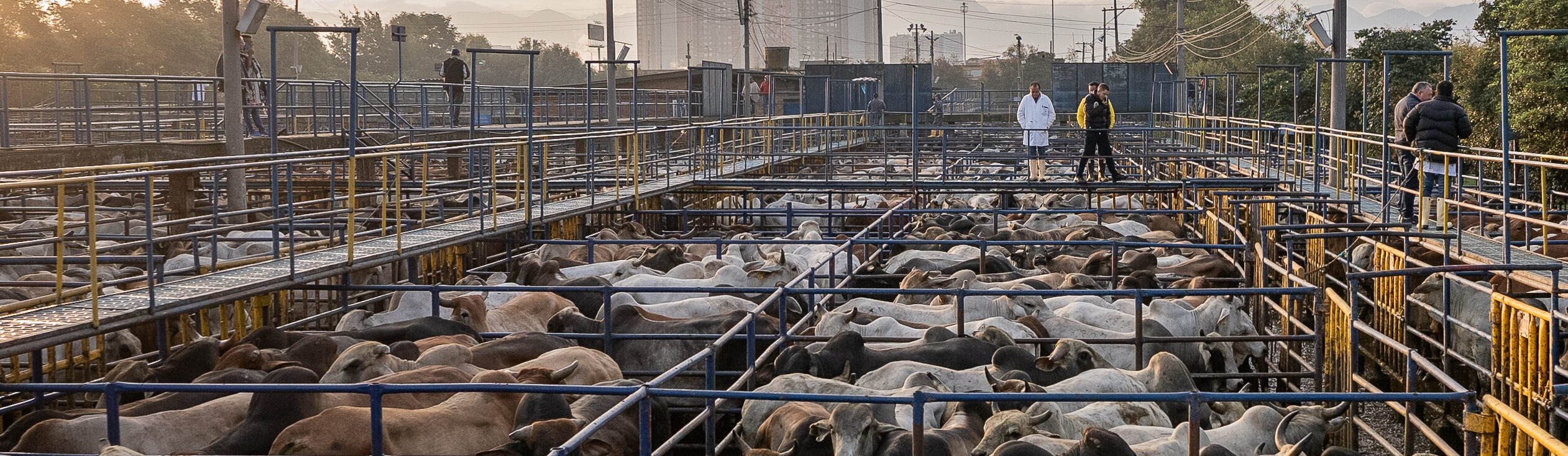 Frigoríficos BLE - Frigoríficos BLE