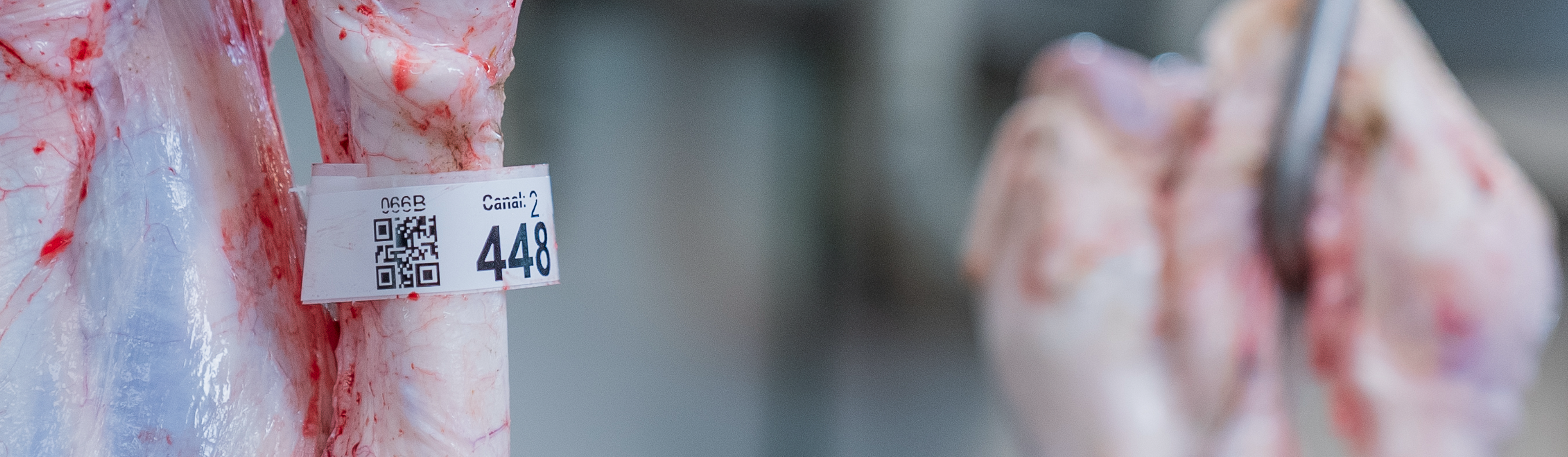 Frigoríficos BLE - La trazabilidad es nuestro norte