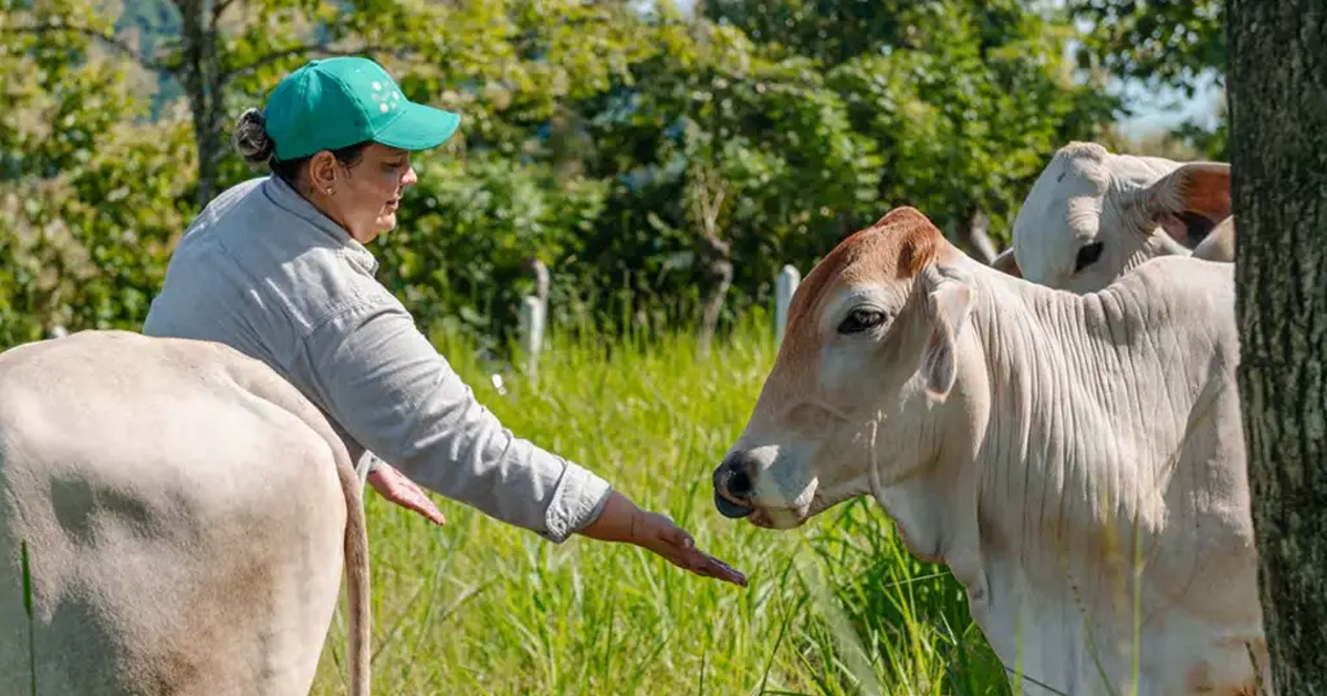 El poder femenino transforma la ganadería en Colombia