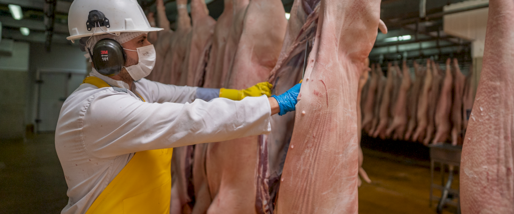 Almacenamiento de canales refrigeradas - Galería