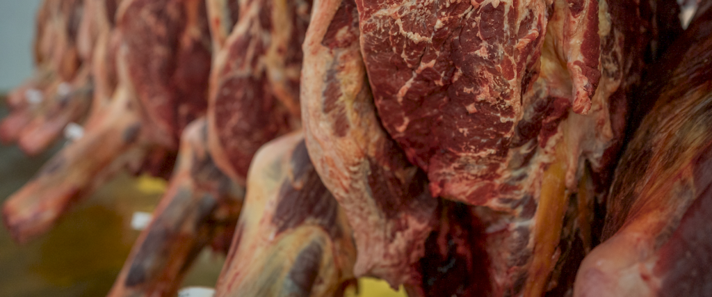 Almacenamiento de canales refrigeradas - Galería