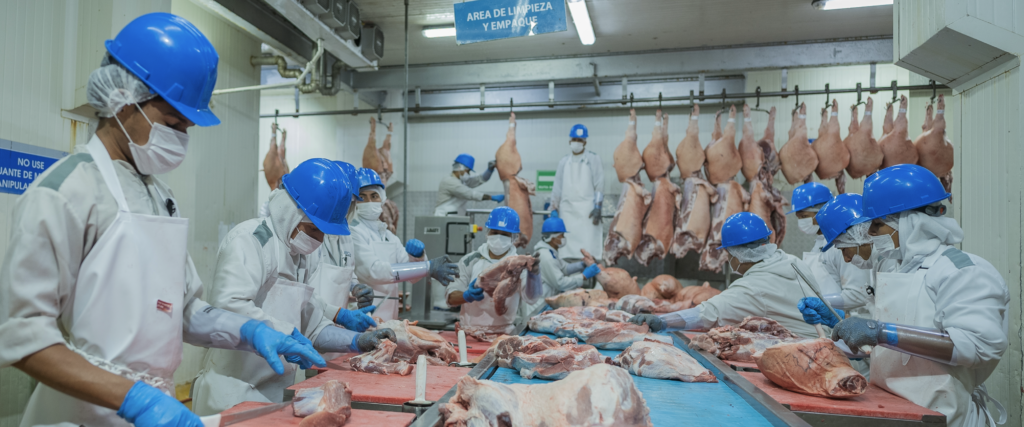 Desposte de canales bovinas y porcinas - Galería