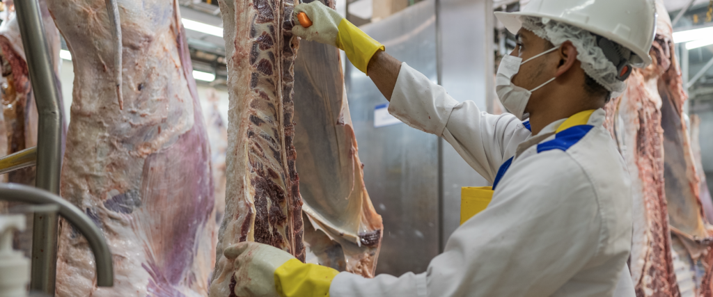 Desposte de canales bovinas y porcinas - Galería