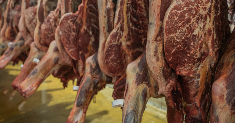 Almacenamiento de canales refrigeradas