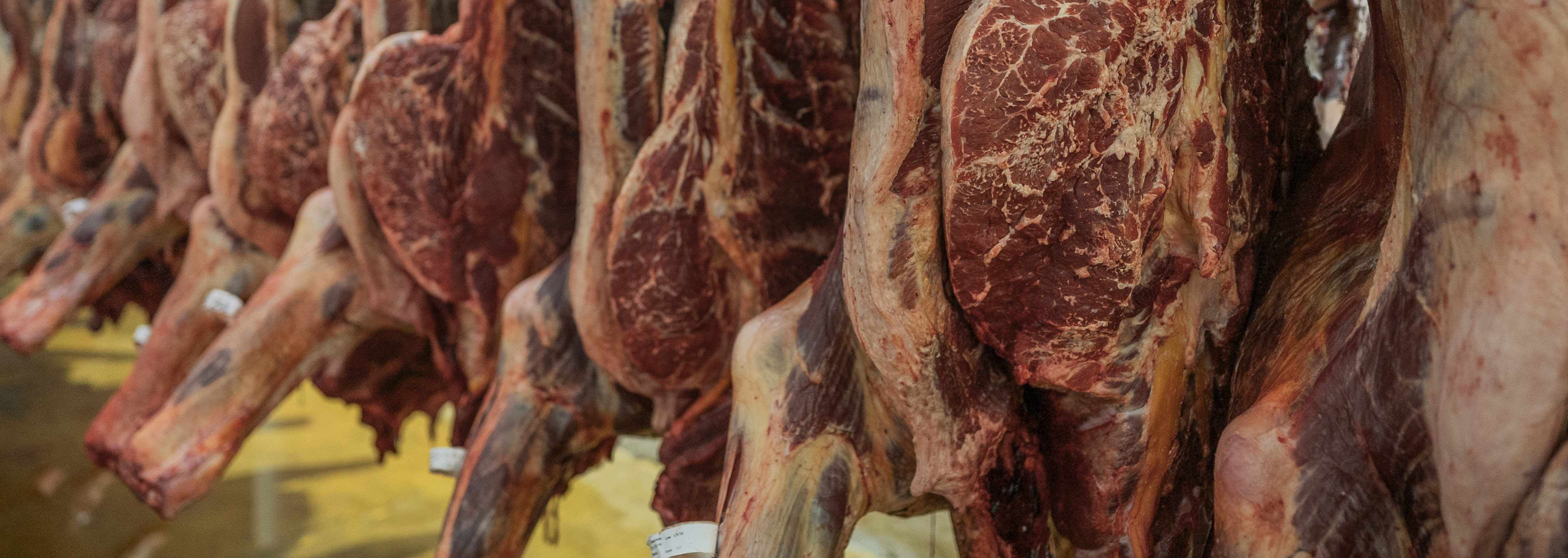 Almacenamiento de canales refrigeradas