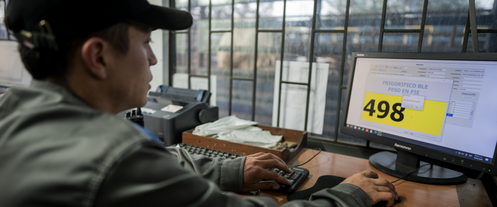 Pesaje de animales en pie - Galería