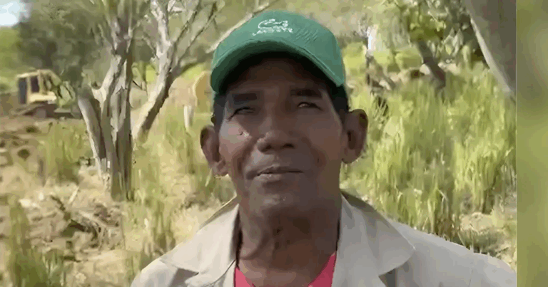 El ganadero que convirtió a su celular y al WhatsApp en la mejor herramienta para cuidar su hato